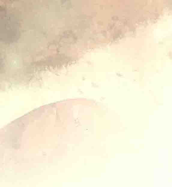 当你抬头望星星 · 书页插图